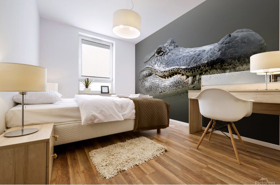 Bayou Gaze Mural print