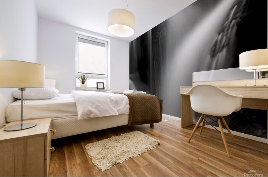 Silken Shadows Mural print