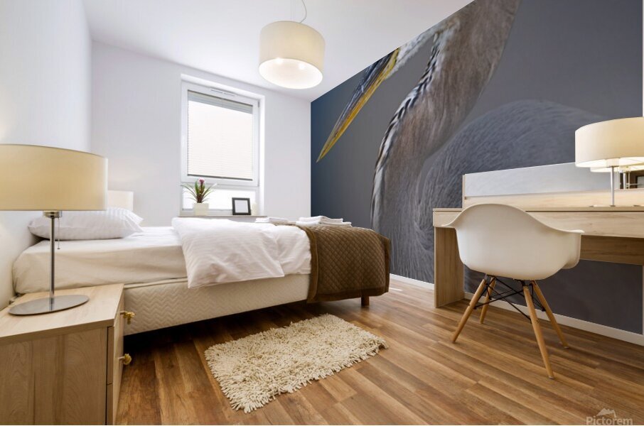Curved Elegance at Twilight Mural print