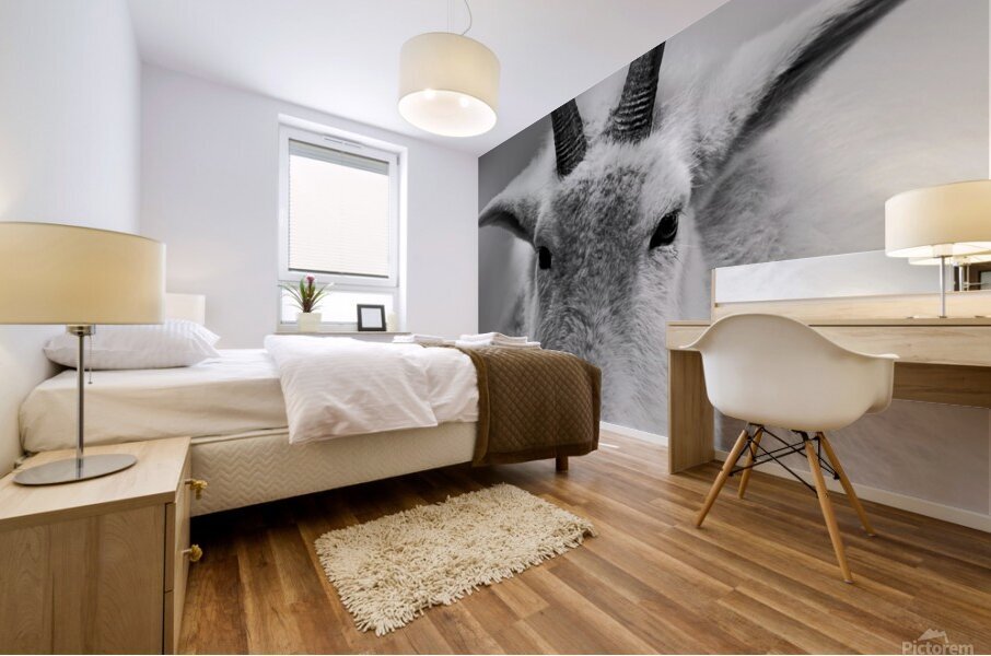 A Cloud with Horns Mural print