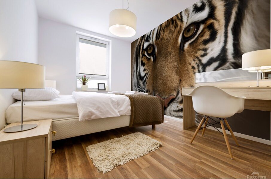 Tigress Mural print