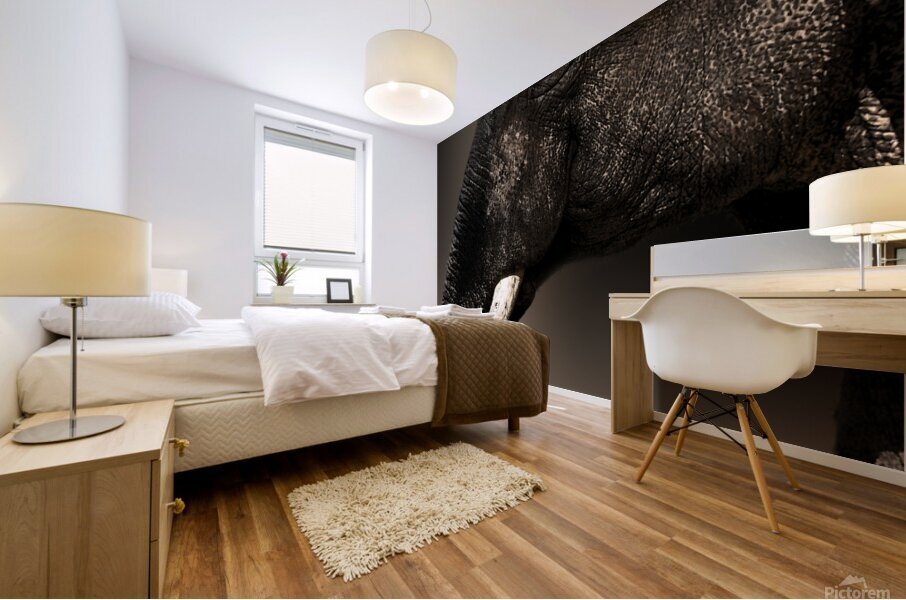 The More You Know Mural print