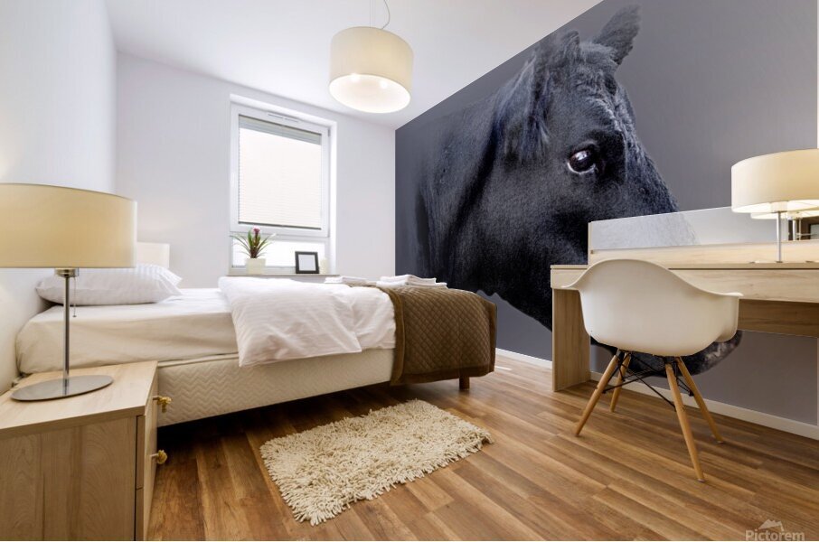 Black Angus Mural print