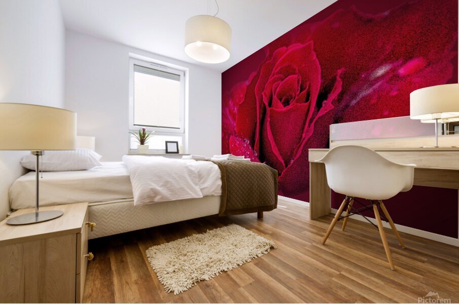 Red Rose On Red Mural print