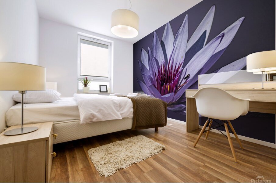 Lily Buddy Mural print