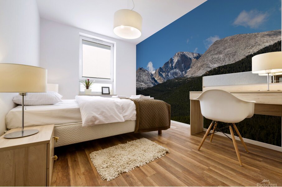 Longs Dusted Mural print