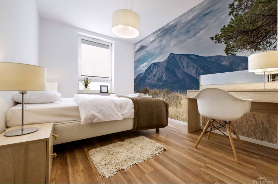 Sopris Stands Out Mural print