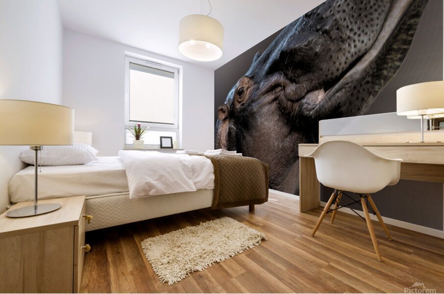 Water Horse Mural print