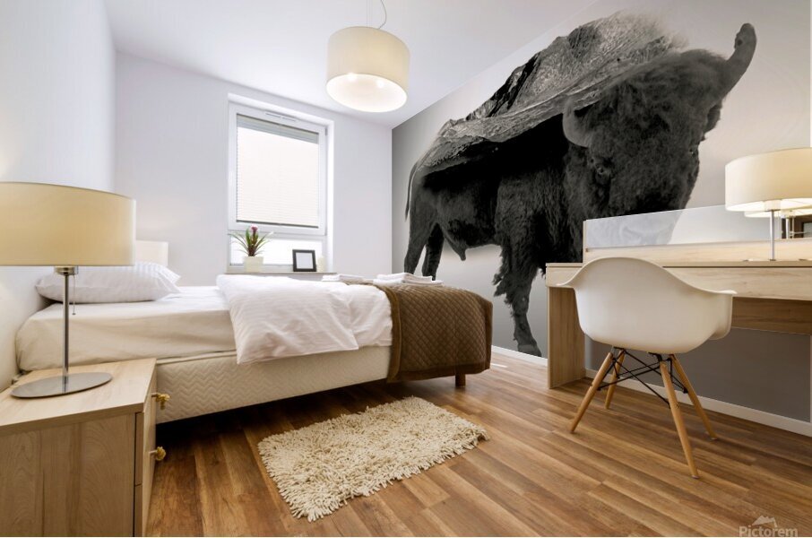 Rocky Mountain Bison  Mural print