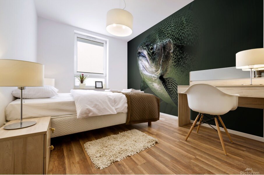 Under the Rainbow Mural print