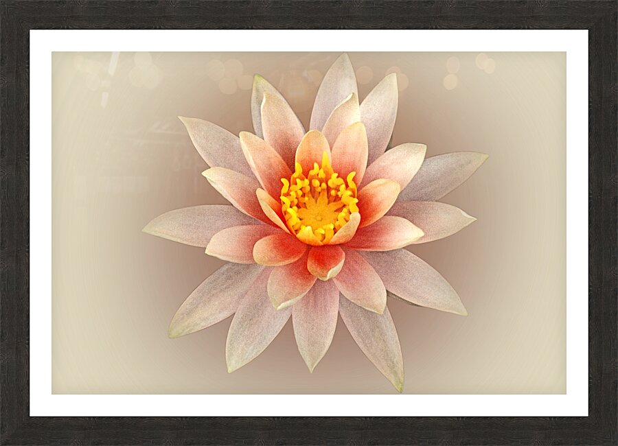 Lily Heart Picture Frame print