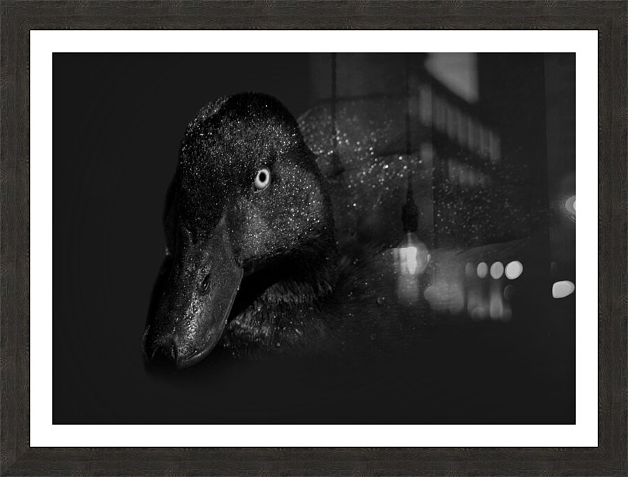 Dark Wing Picture Frame print