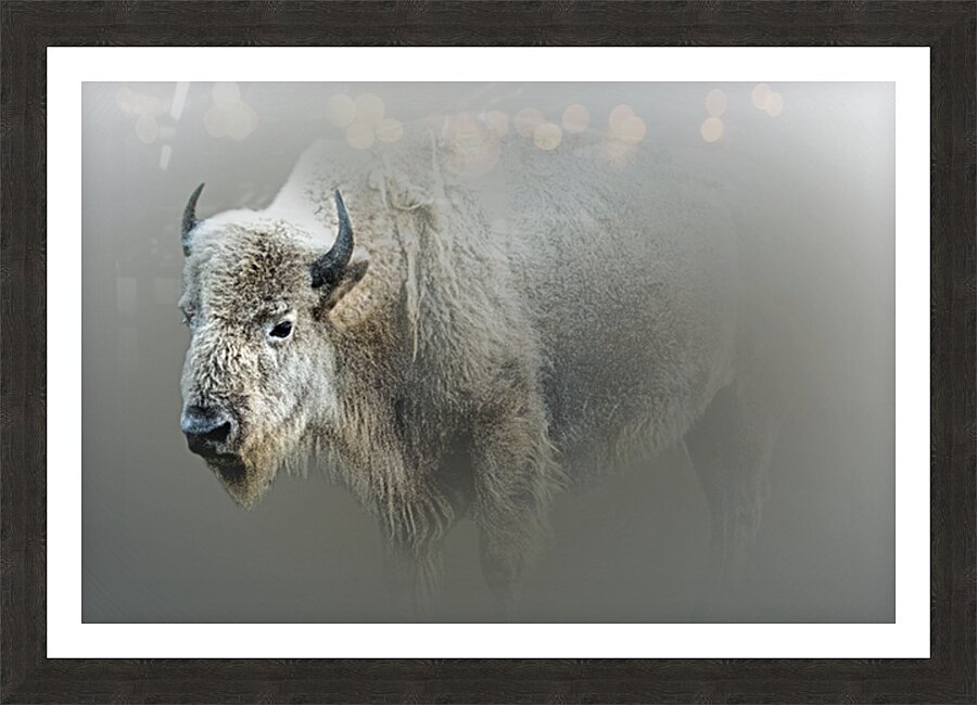 Tatanka Ska Picture Frame print