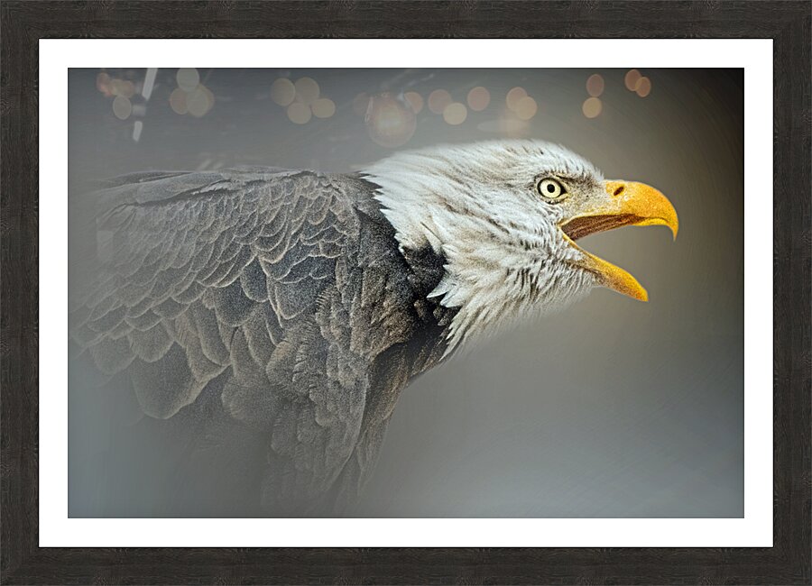 Let it Out Picture Frame print