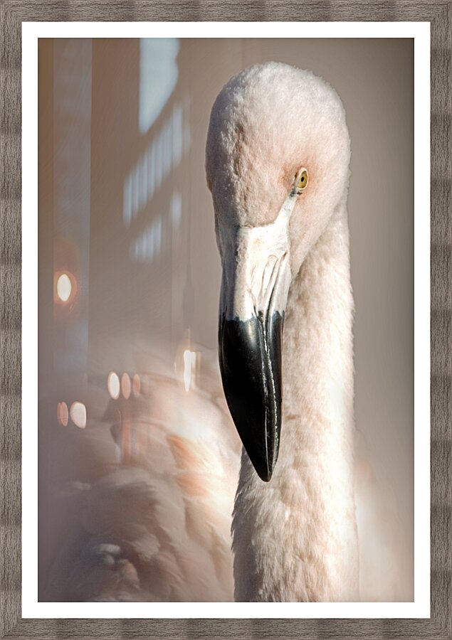 Perfectly Pretty Picture Frame print