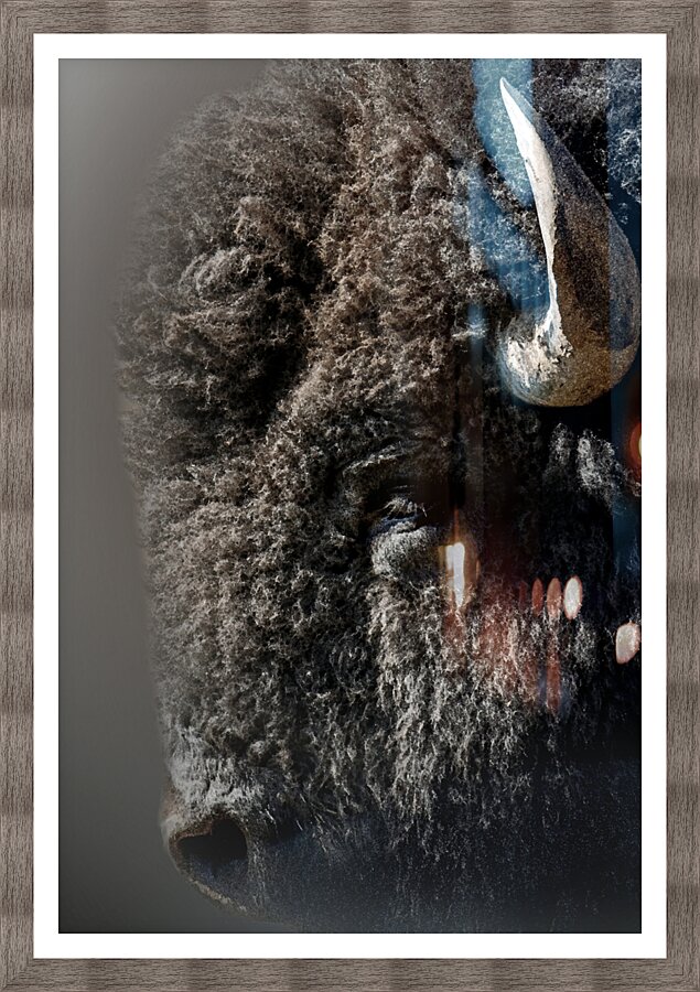 Close Encounter Picture Frame print