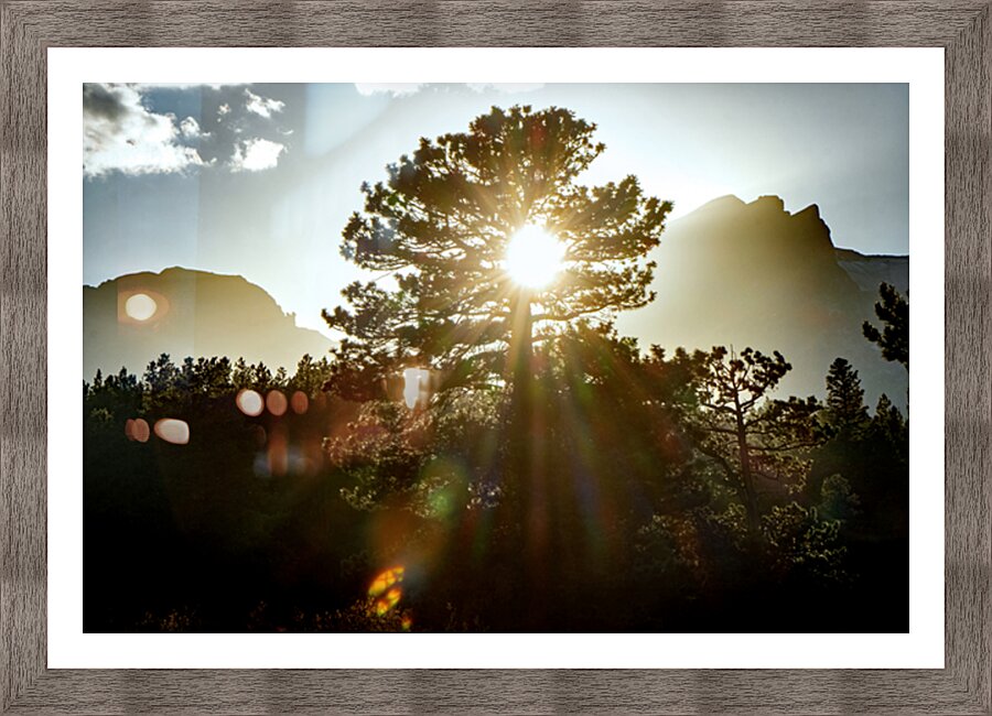Alpine Sunbeams  Picture Frame print