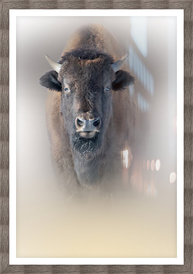 Too Early Picture Frame print