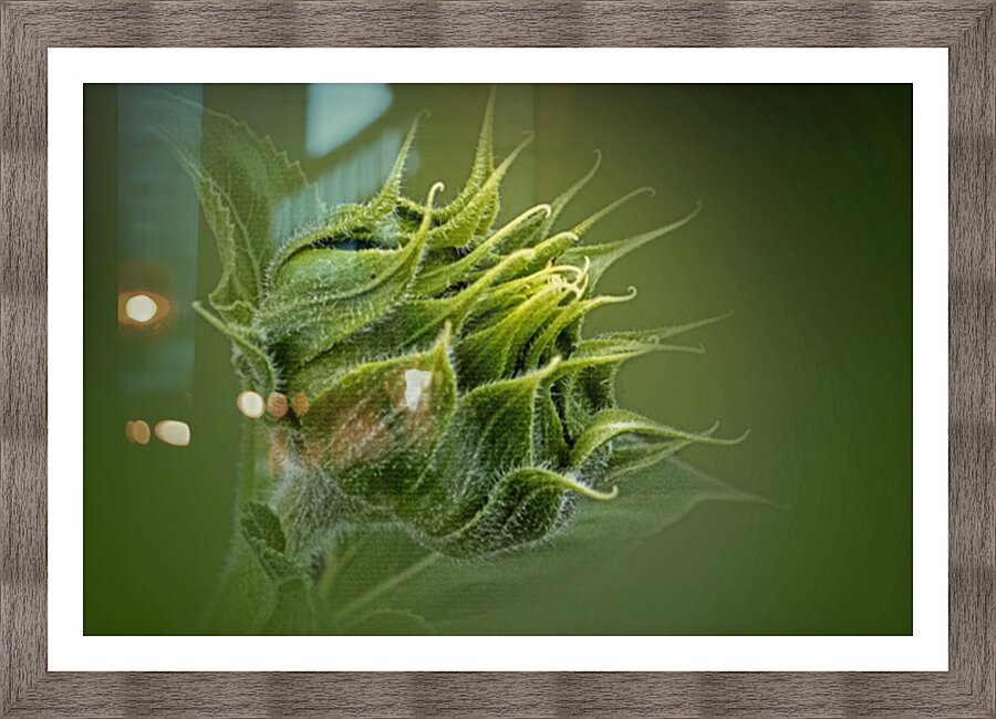 Tender Green Awakening Picture Frame print