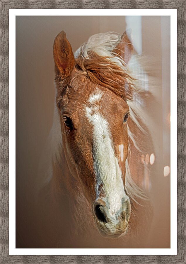 Blaze Unbound Picture Frame print