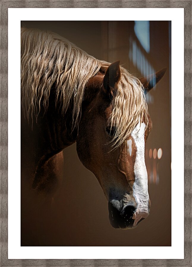 A Stable Life Picture Frame print
