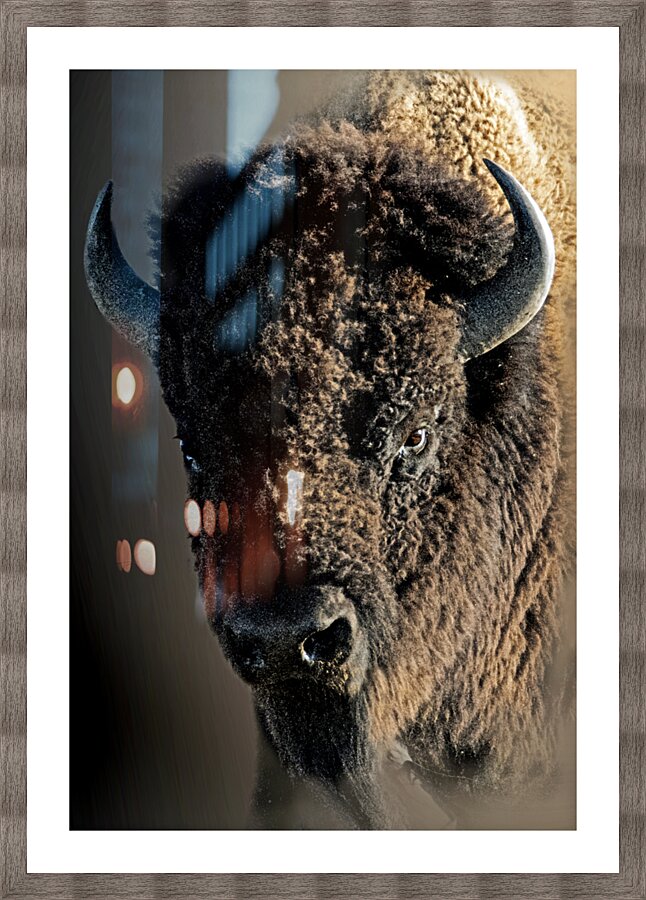 Boom Bull Picture Frame print