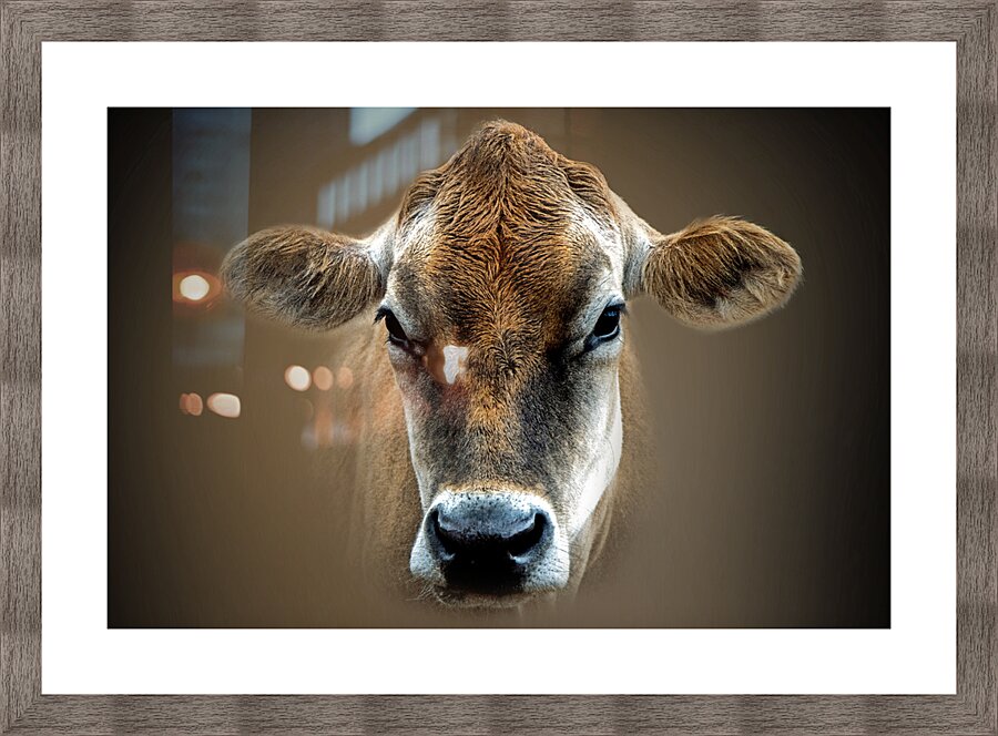 Over the MOOON Picture Frame print