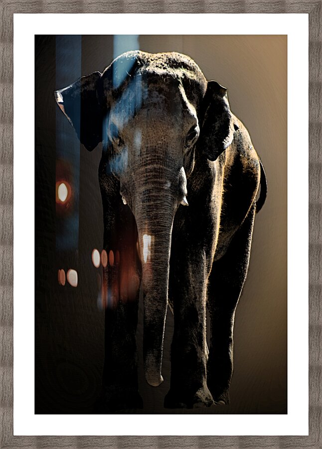 Massive  Picture Frame print
