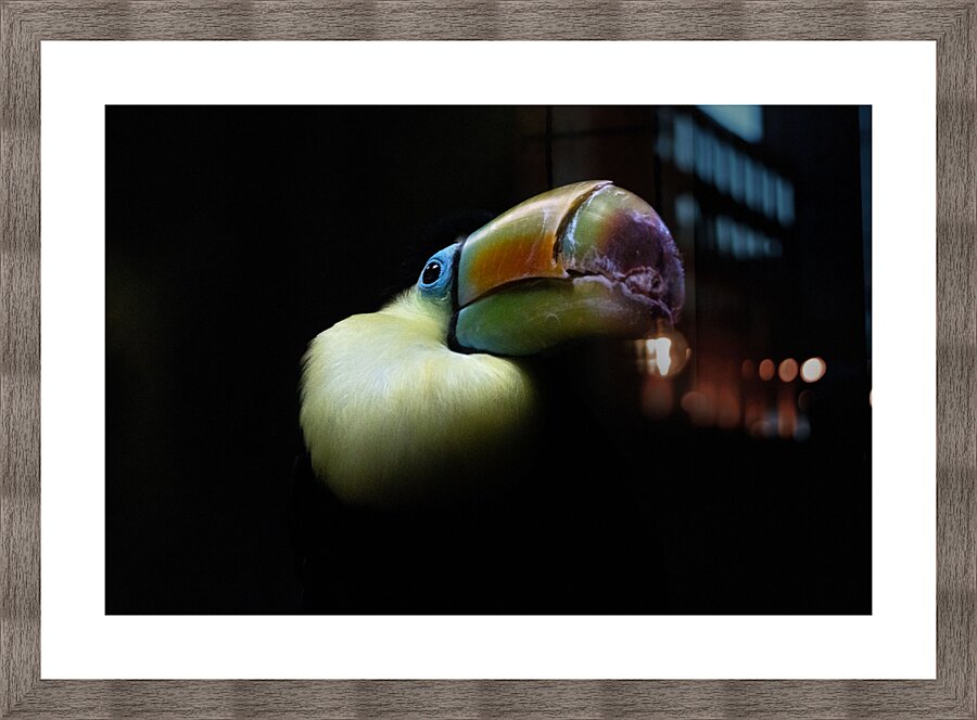 In the Light Picture Frame print