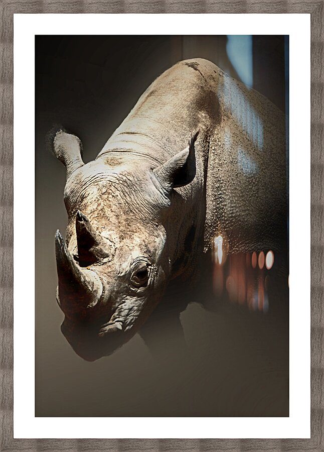 Emerge Picture Frame print