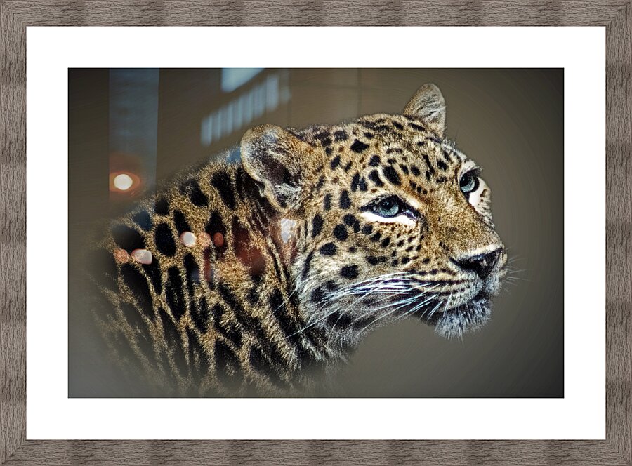 Purrty Picture Frame print