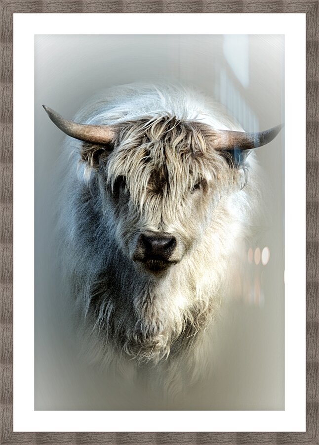 Only One Picture Frame print