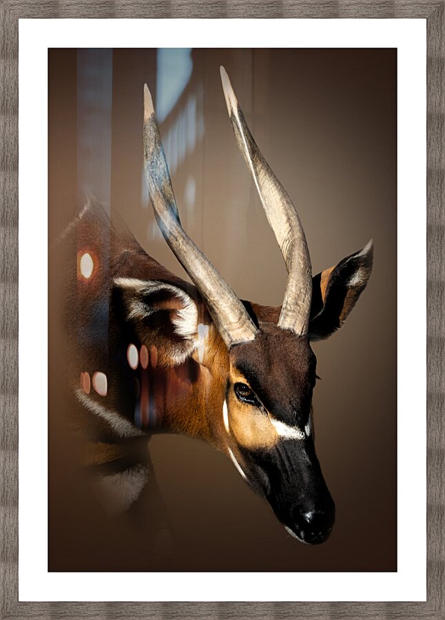 Not a Drum Picture Frame print