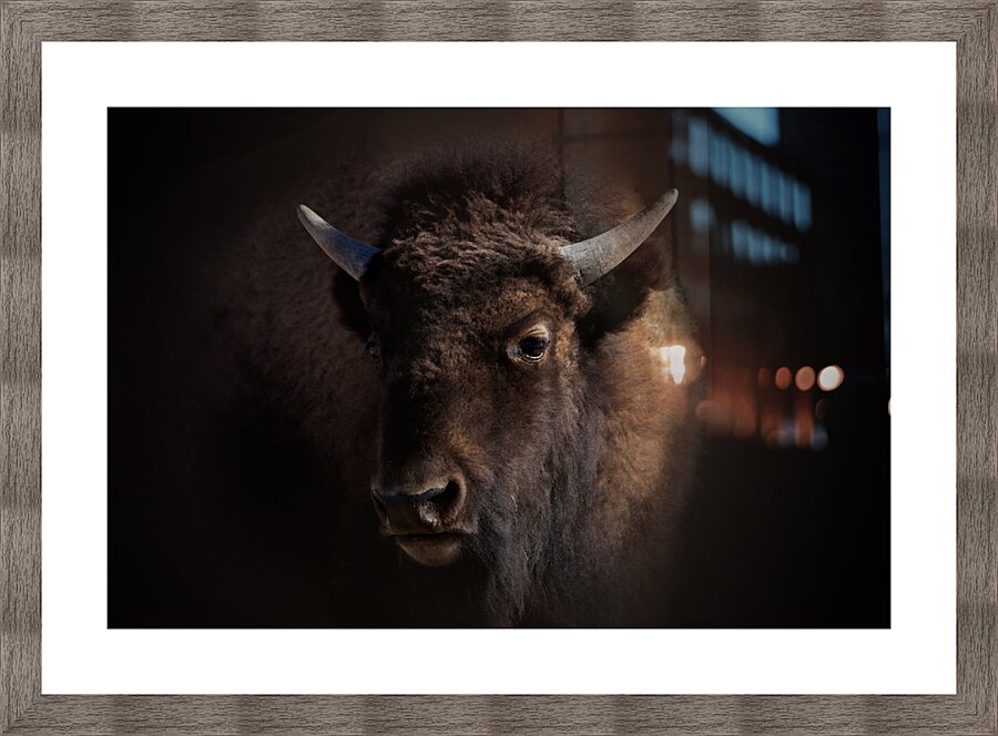 Finding Its Place Picture Frame print