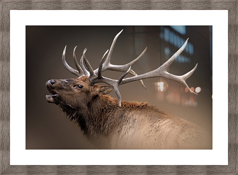 Shout Out Picture Frame print