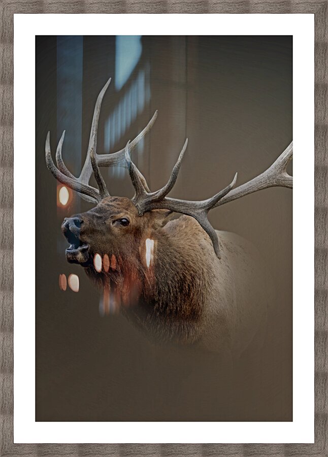 Triumphant Picture Frame print