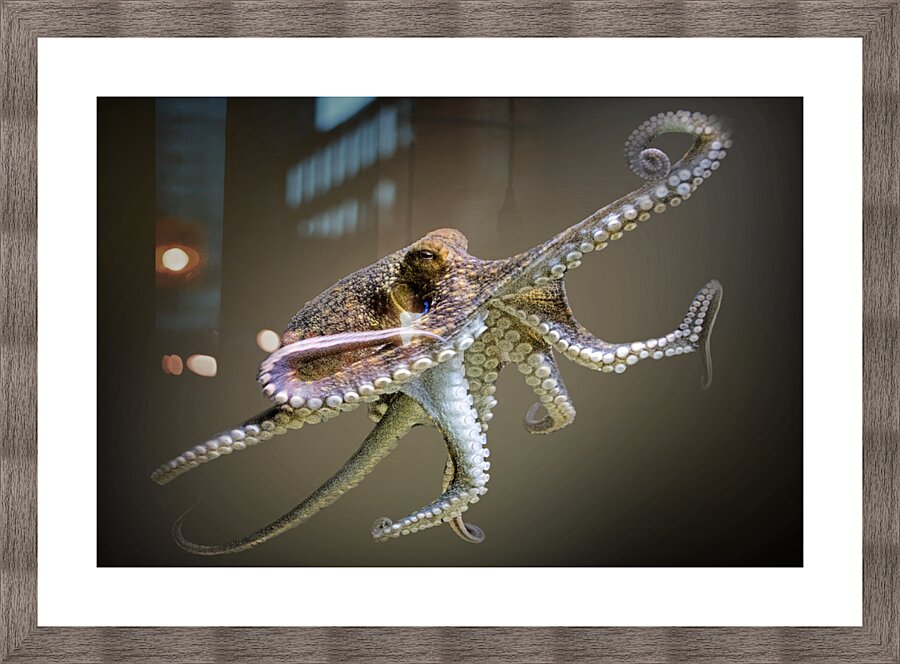 Up in Arms Picture Frame print