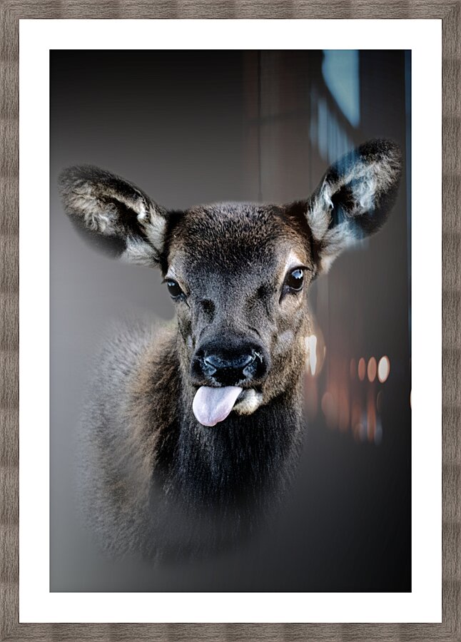 Sbpllllt Picture Frame print