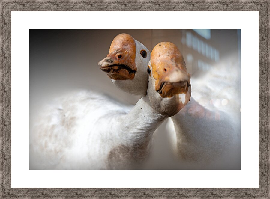 We Love You Picture Frame print