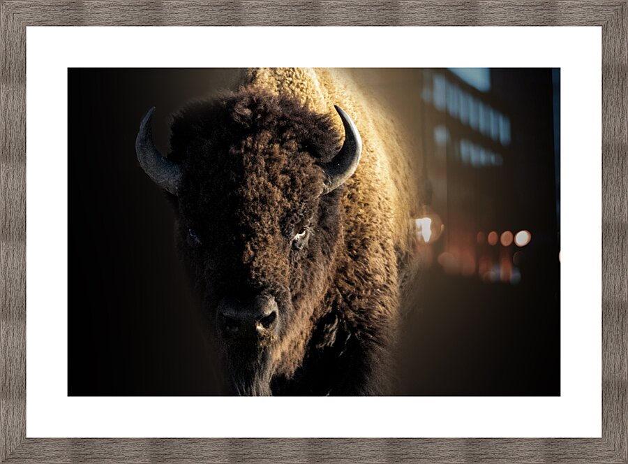 Wandering In Picture Frame print