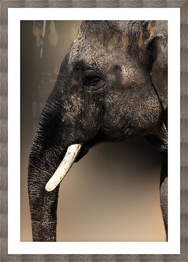 The More You Know Picture Frame print