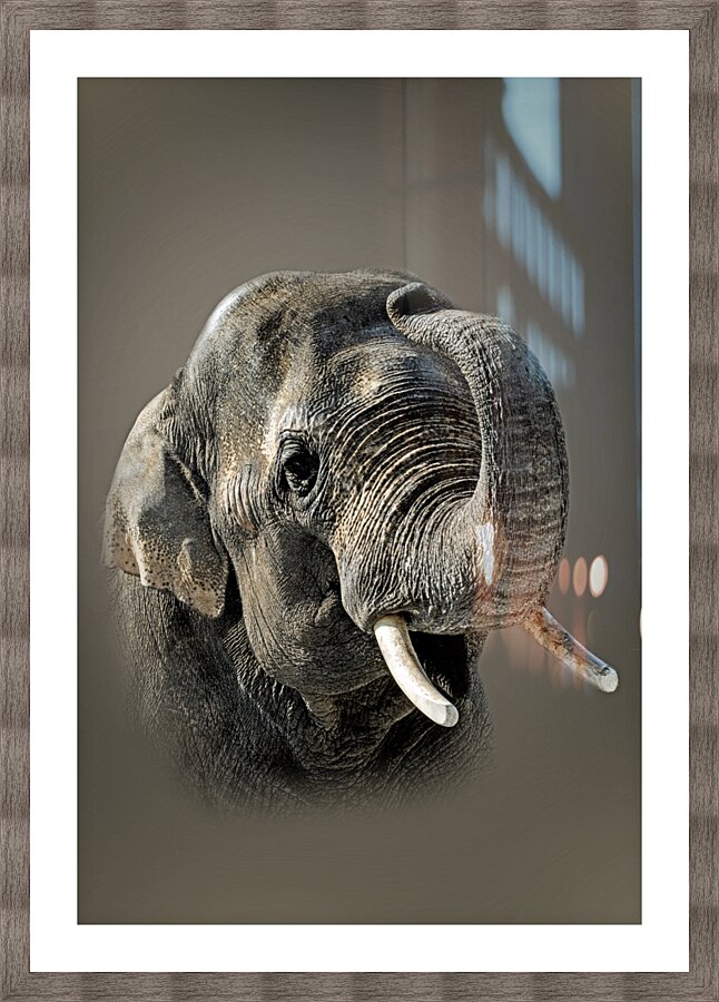 Asian Picture Frame print