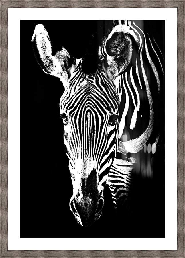 Bezra Picture Frame print