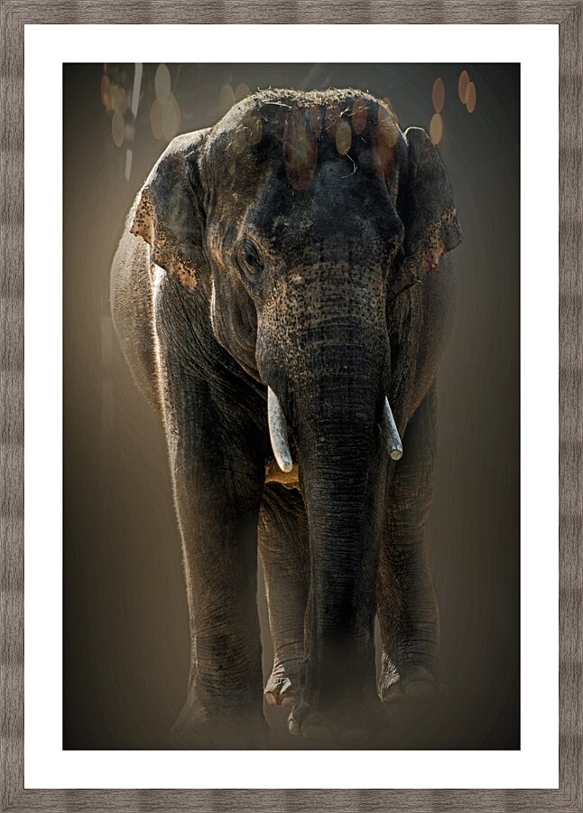 Gigantic Picture Frame print