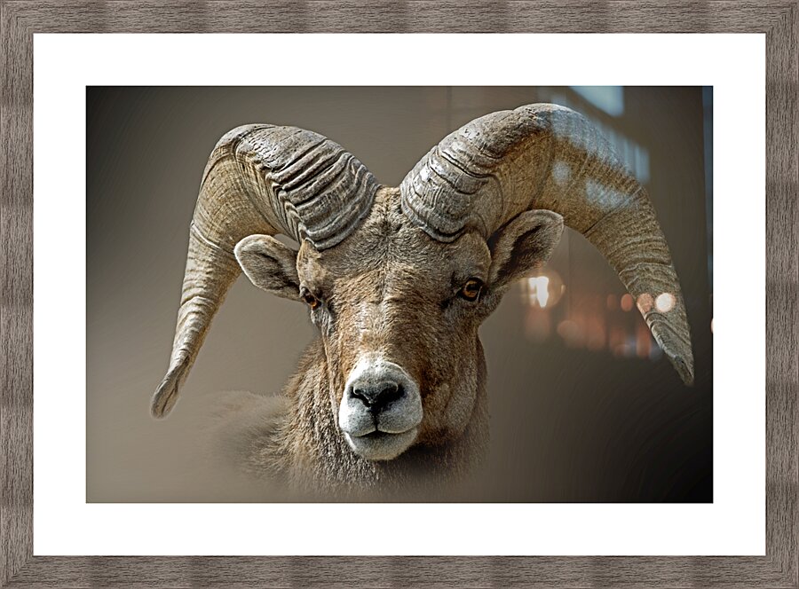 Crash Picture Frame print