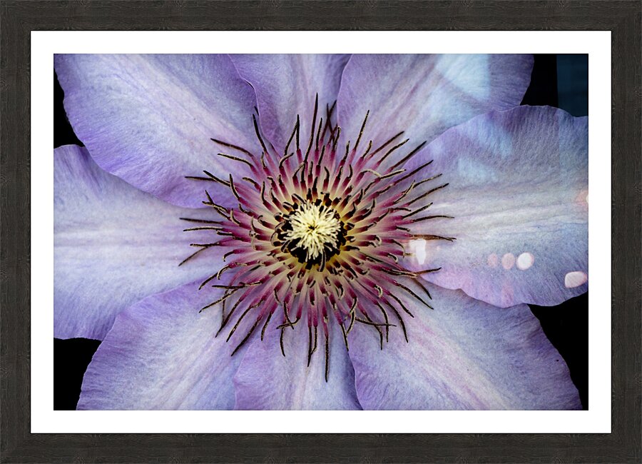 Clap Burst Picture Frame print