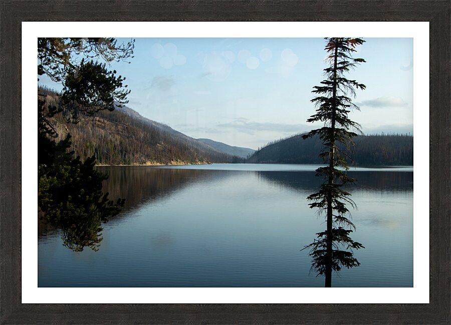 Scars Heal Picture Frame print