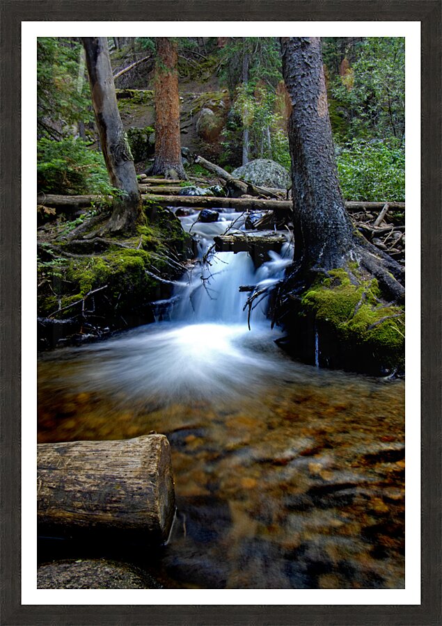 Dip Your Toes Picture Frame print