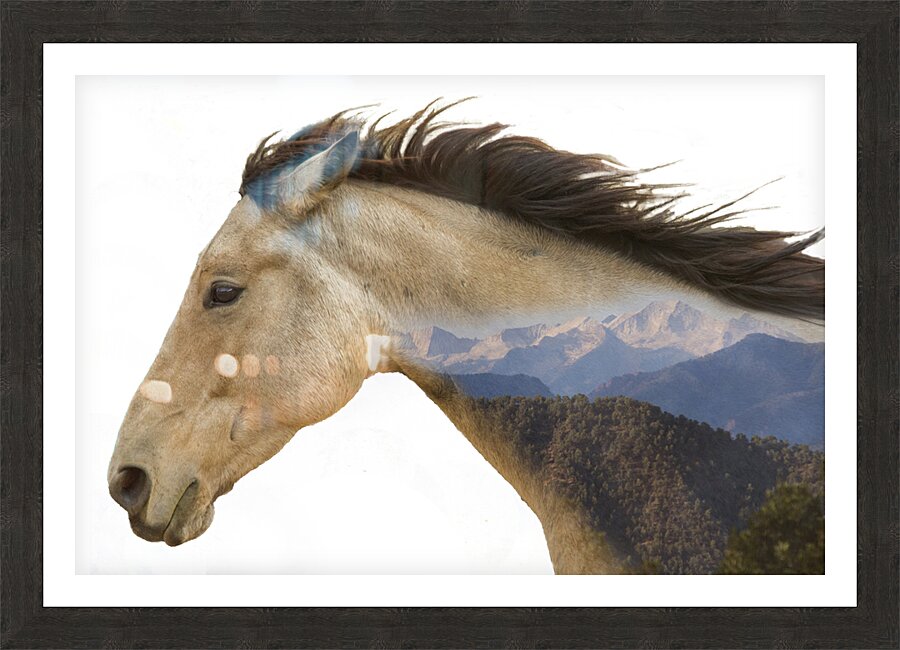 crystal river valley Picture Frame print