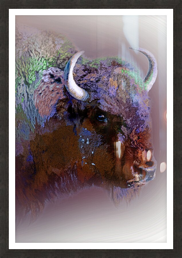 Technicolor Buffalo Picture Frame print